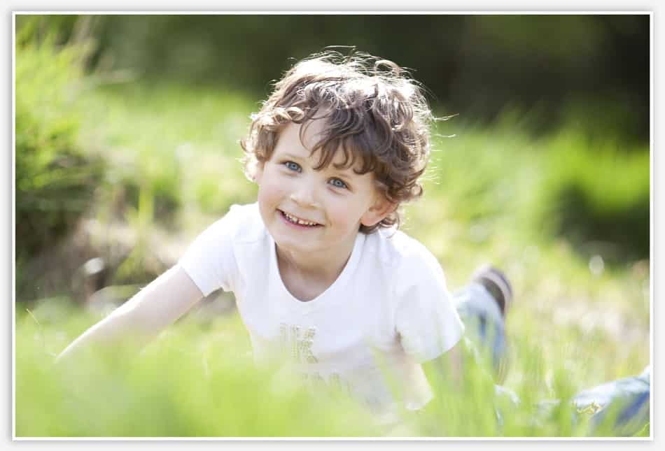Rollebollen in de zandverstuiving van Rosmalen