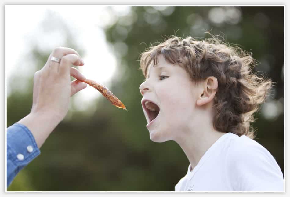 Portretfoto met garnaal