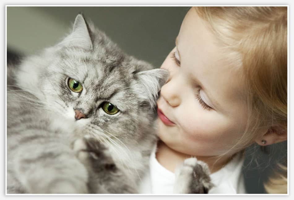 Huisdierfotografie in Esch