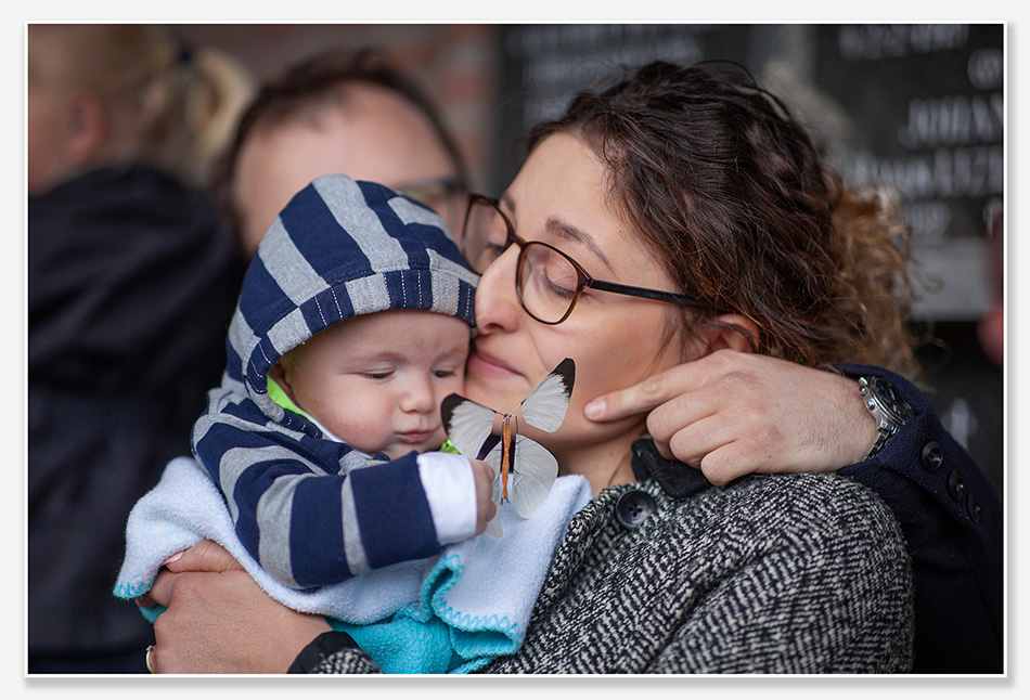 Afscheidsfotografie met vlinders