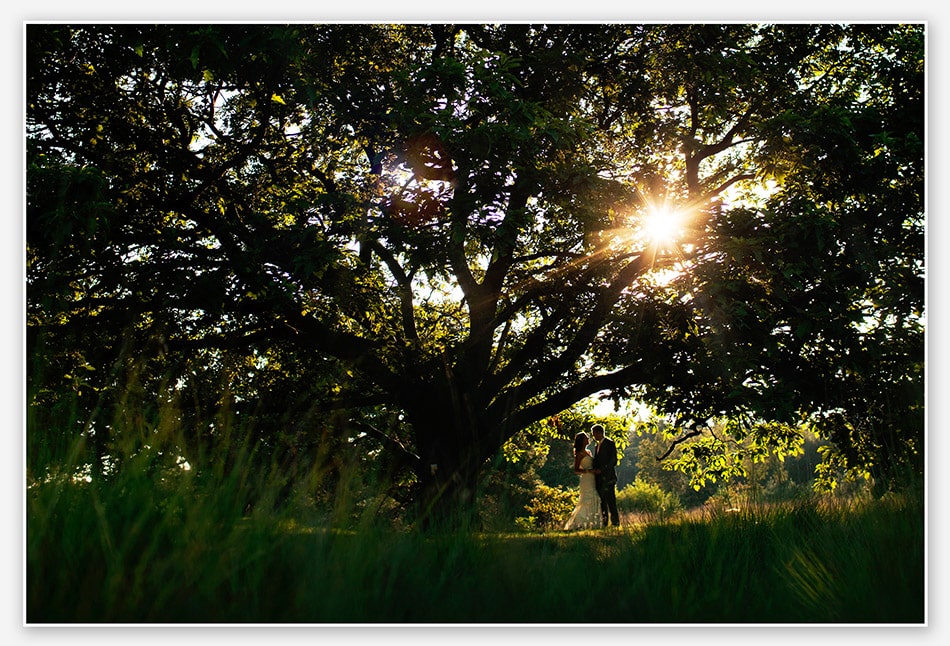 Bruidsfotografie op de Sonse Heide