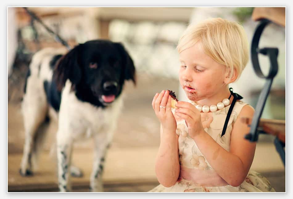 Ook de hond lust bruidstaart