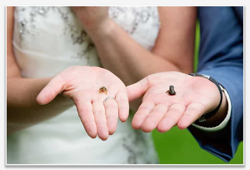 Bruidsfotografie met mini-kikkers