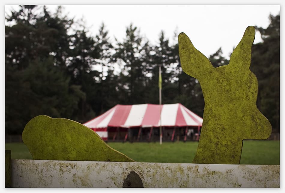 Bruidsfotografie_Utrecht Schaapskooi als trouwlocatie