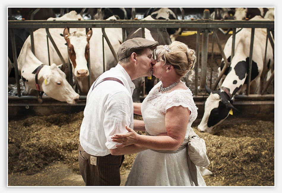 Bruidsfotografie in de koeienstal