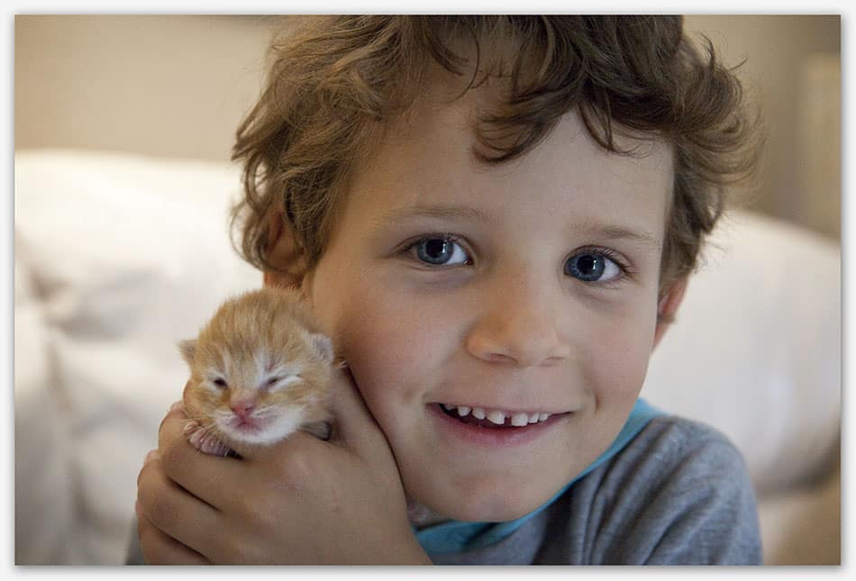 Dierenfotografie_Haaren Jongen met kitten