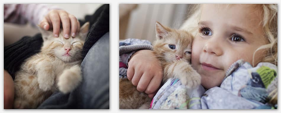 Dierenfotografie_Haaren Meisje met kittens