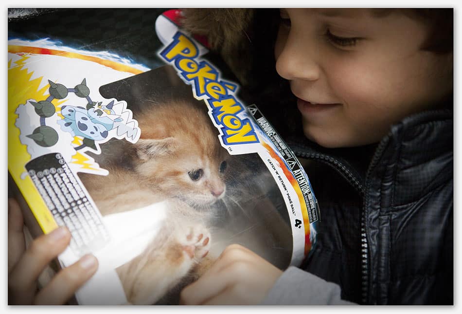 Dierenfotografie_Haaren Jongen speelt met kitten