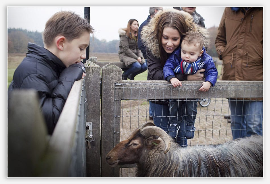 Schapenkooi Tafelberg 
