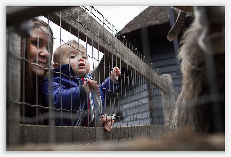 Schapenkooi Tafelberg 