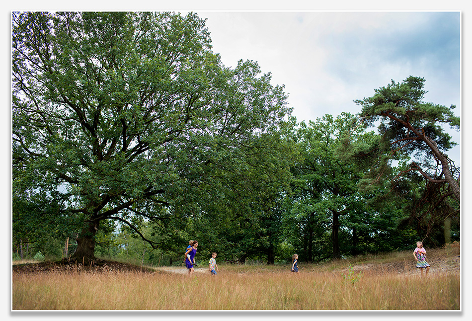 Familiefotografie in natuurgebied Kampina