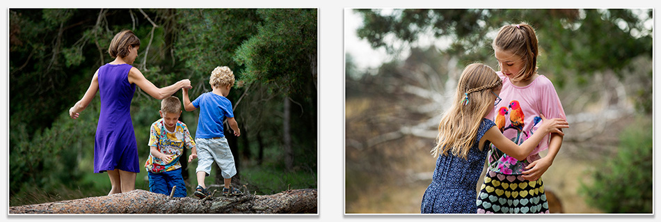 Balanceren op de boomstam