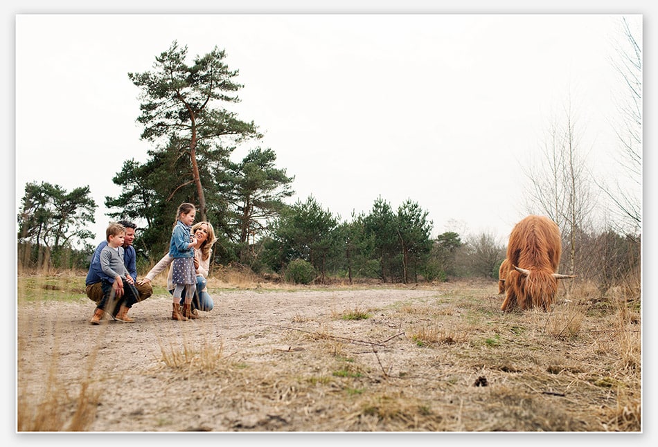 Bizons bij de familieshoot