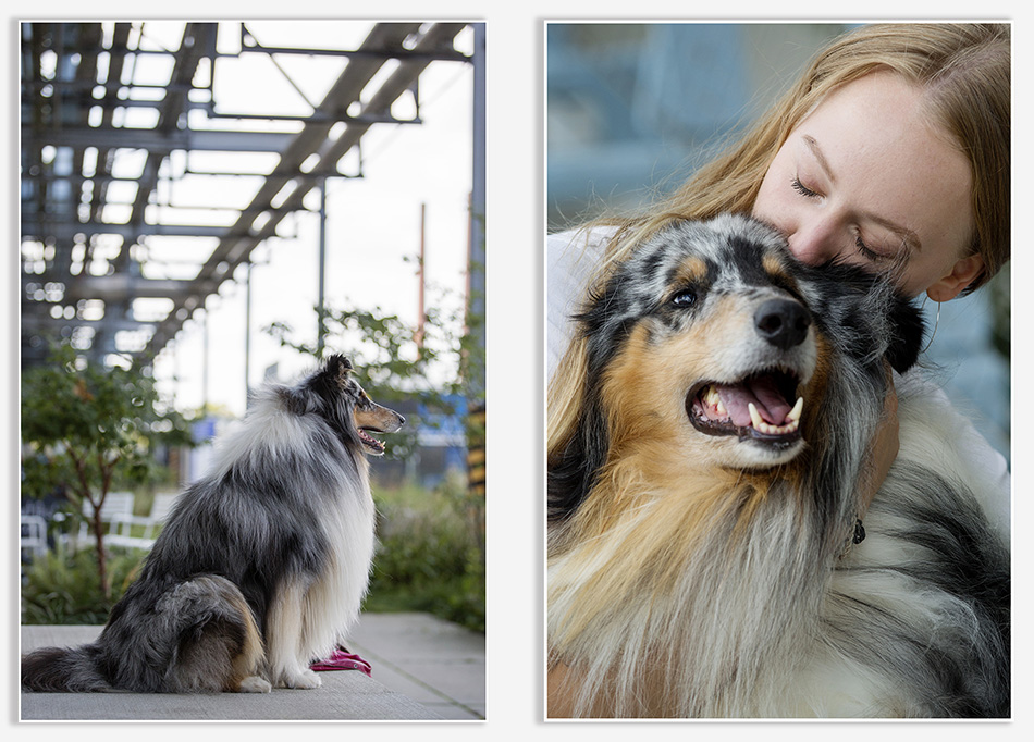 Hondenfotografie op Strijp-S
