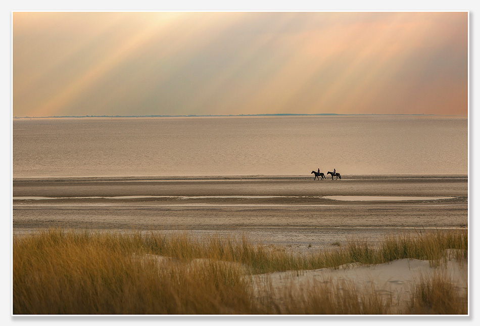 Het strand van Westenschouwen