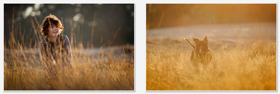 Verstoppertje met hond in de Drunense Duinen