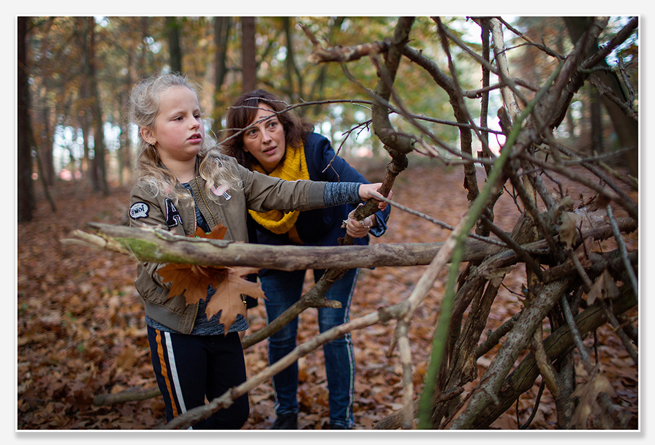 In de herfst in het bos