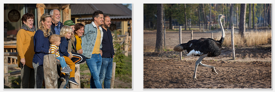 Familiefotografie met struisvogel