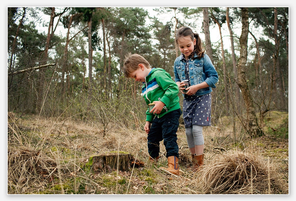 Kinderen in het bos