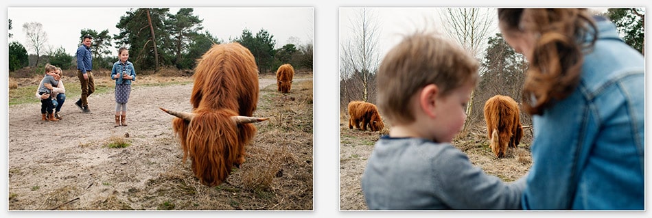 Kinderen kijken naar bizons