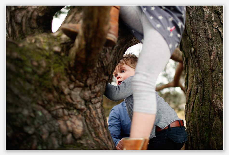 In de boom klimmen tijdens familieshoot