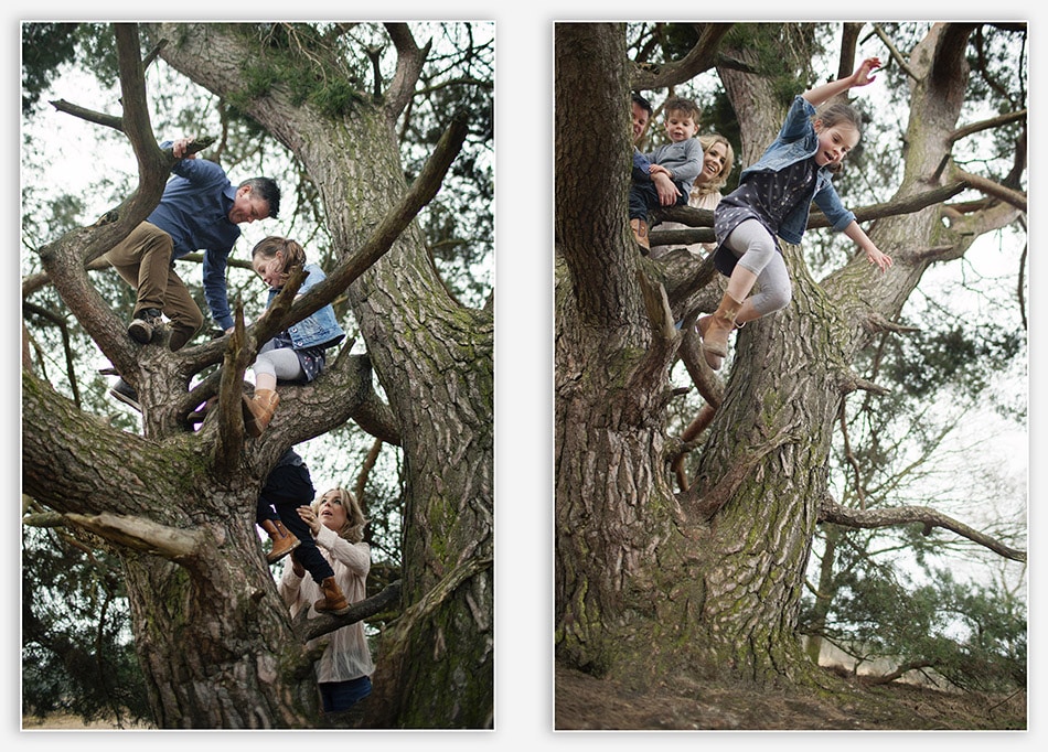 Springen uit de klimboom