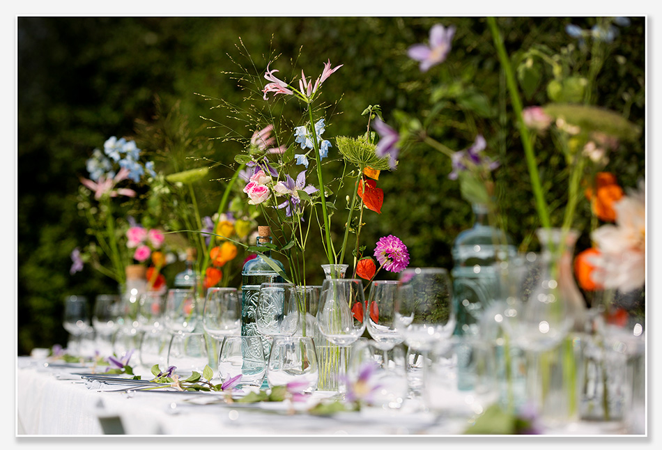 Bloemen van Kamillie Bloemen