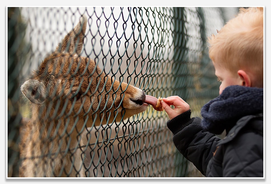 Kindershoot bij Bos en Duin