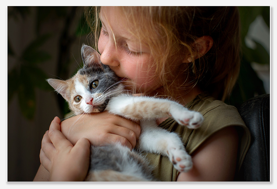 Familiefotografie met kat in Vught