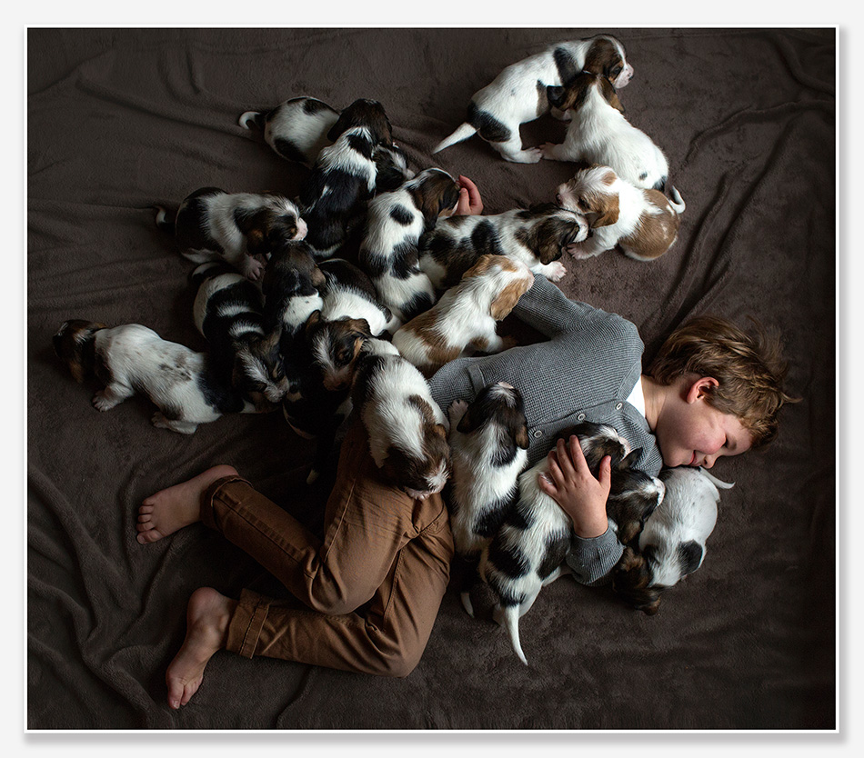 Kinderfotografie met 18 puppies in