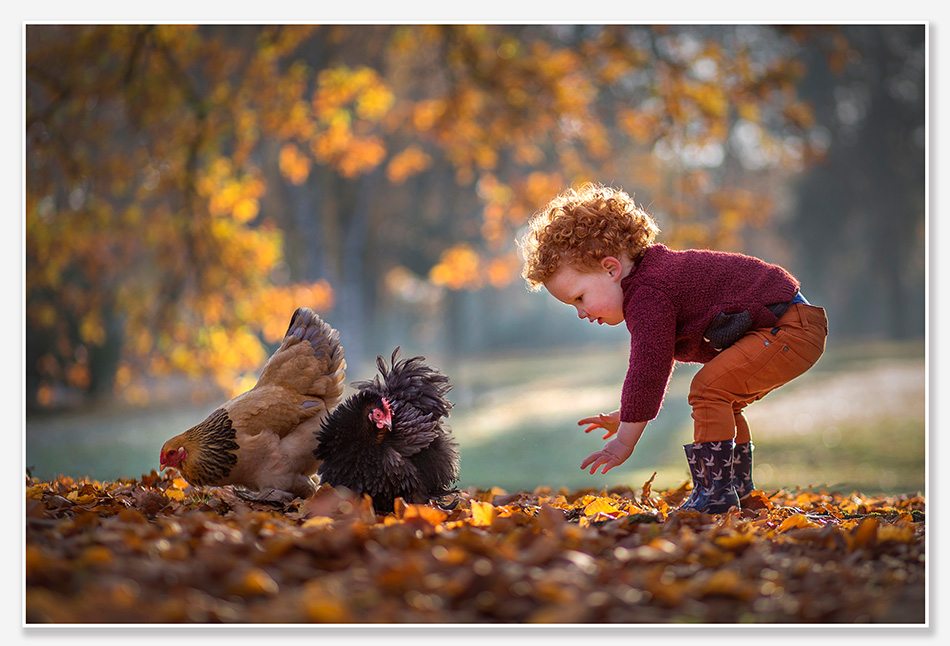 Kinderfotografie met kippen in Vught