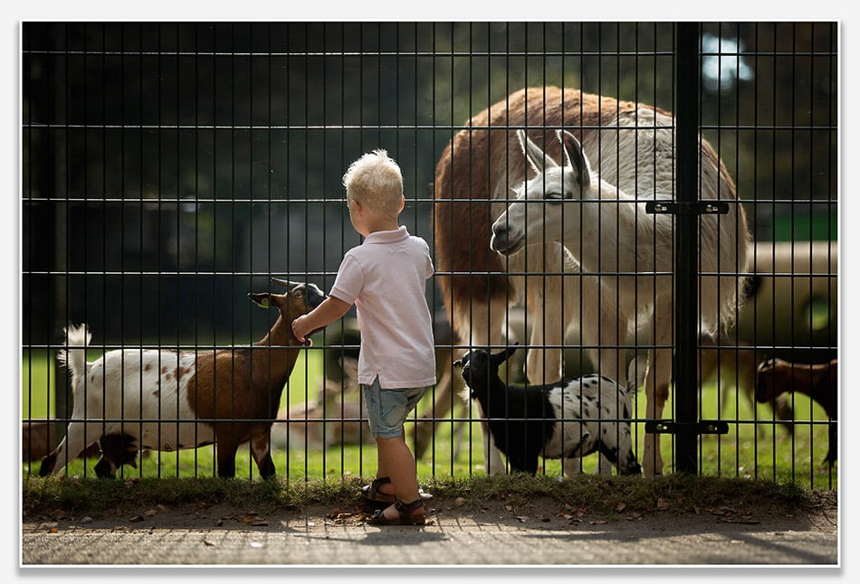 Kinderfotografie bij het hertenkamp in Boxtel