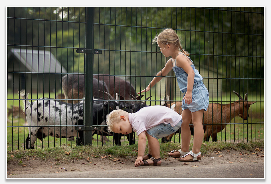 Hertenkamp Essche Heike
