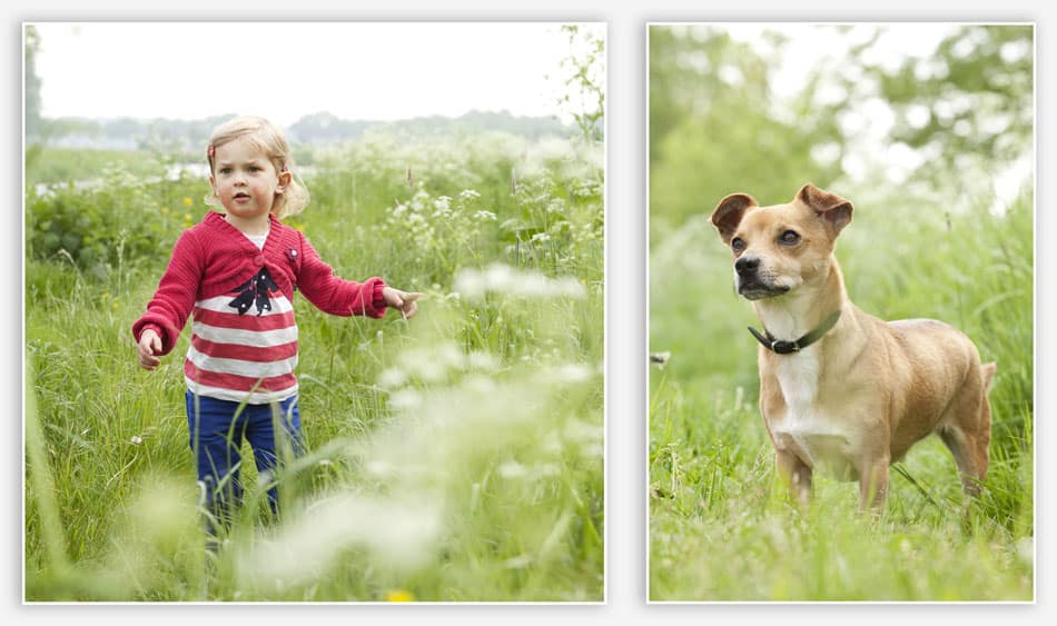 Dierenfotografie langs de Essche Stroom