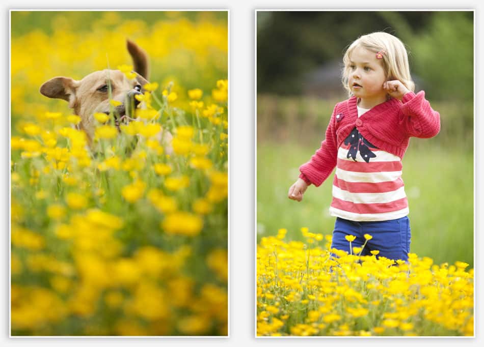 Dierenfotografie tussen de bloemetjes