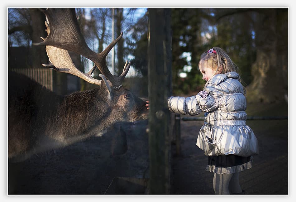 Meisje bij het hertenkamp in Rossum