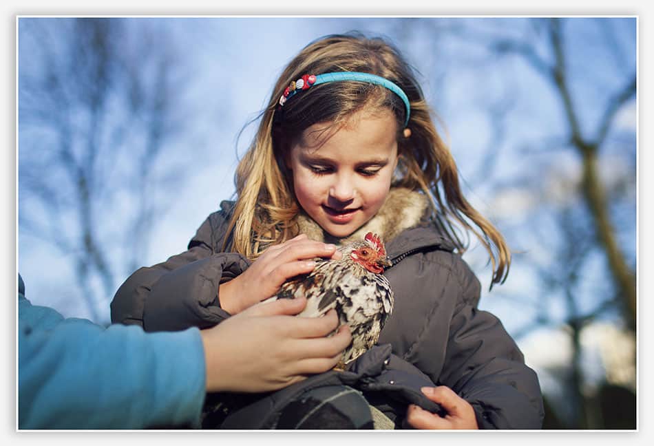Meisje met kip