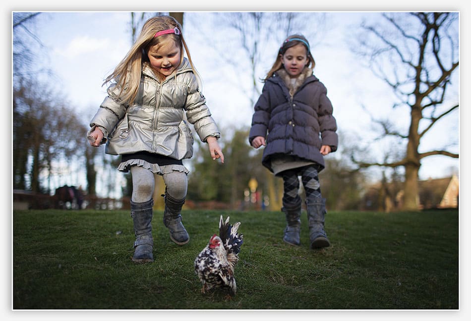 Tweeling rent achter kip aan 