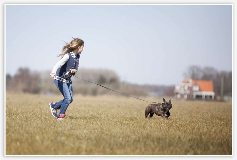 Lifestylefotografie Esch Huisdierfotografie met hond in Esch
