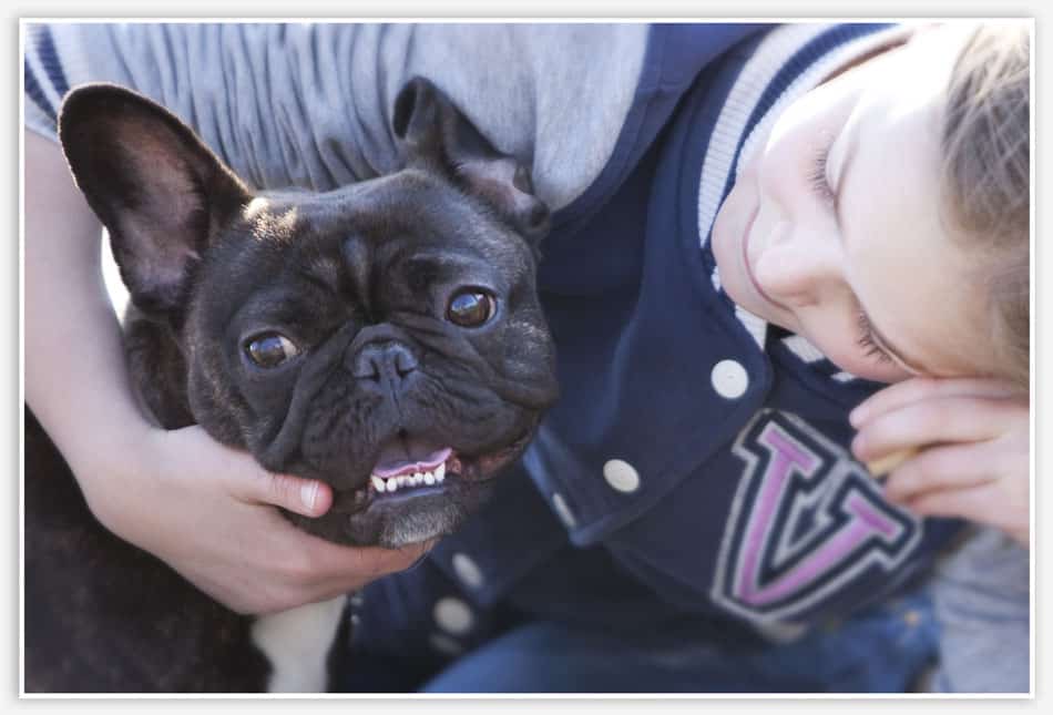 Lifestylefotografie Esch Huisdierfotografie met hond in Esch