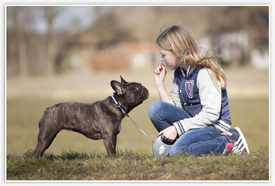 Lifestylefotografie Esch Huisdierfotografie met hond in Esch