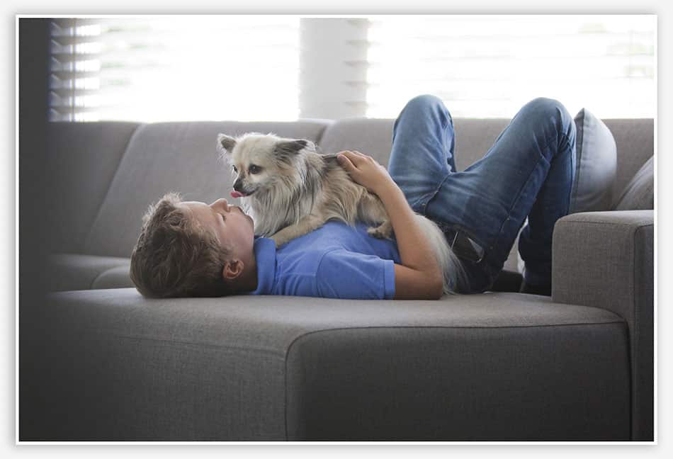 Lifestylefotografie_Esch Met de hond stoeien op de bank