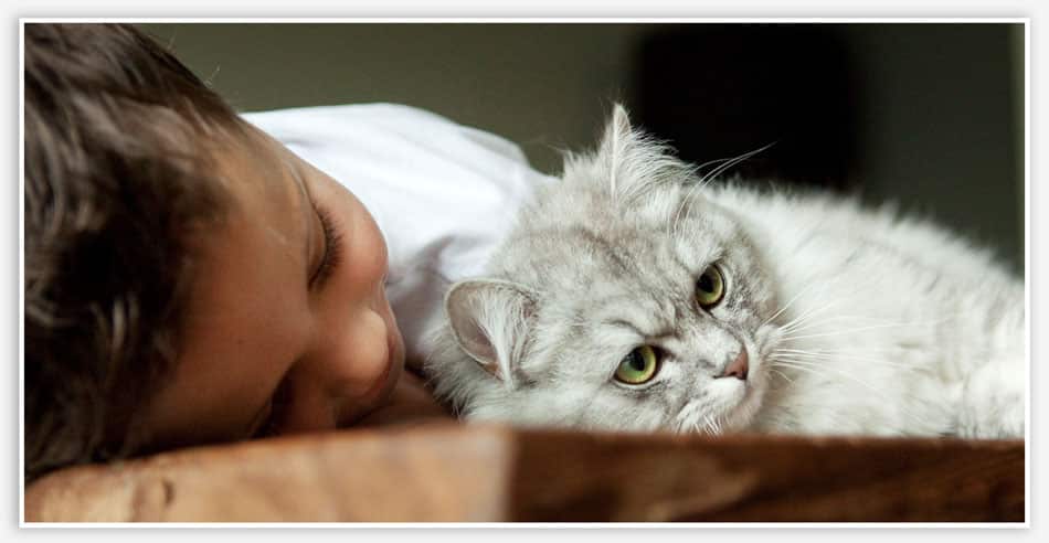 Liefde tussen kind en huisdier