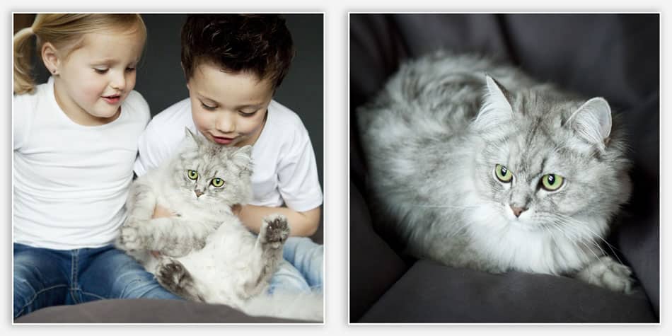Kinderfotografie met huisdier