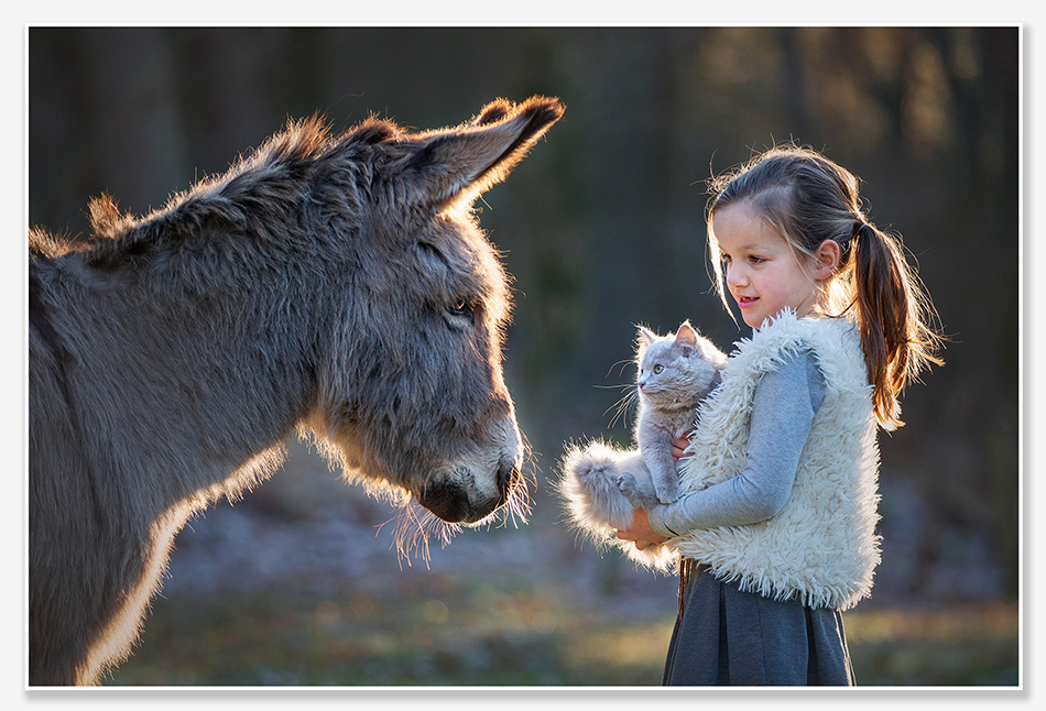 meisje met ezel en kitten