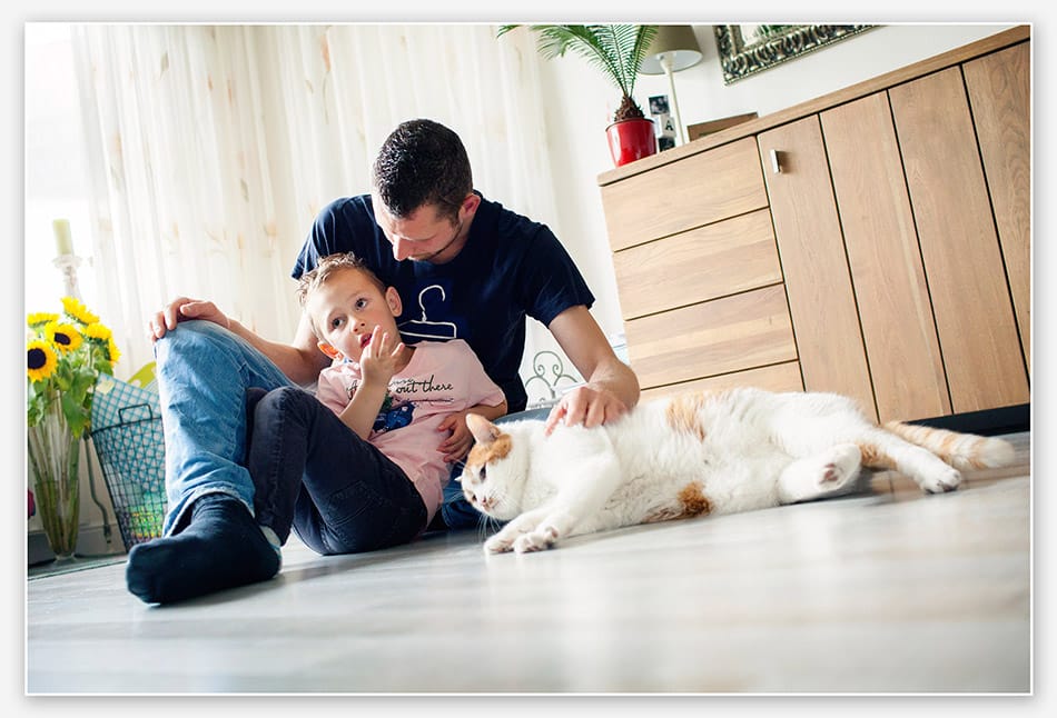 Laten troosten door de kat