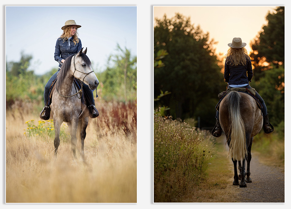 Paardenfotografie in de vroege ochtend