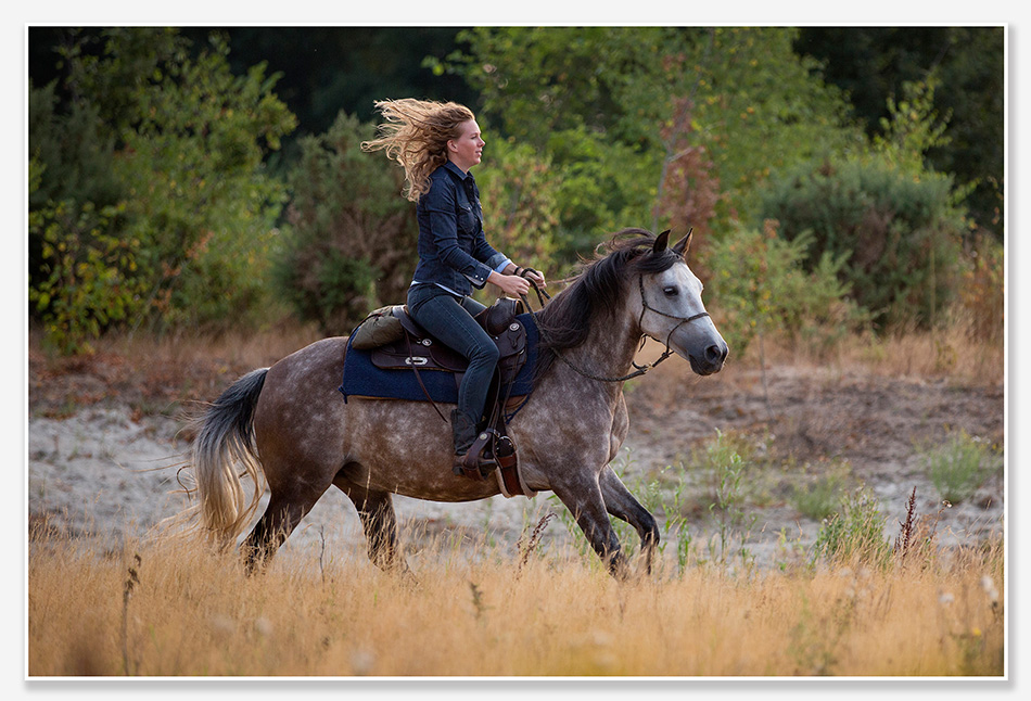 In galop door Den Bosch