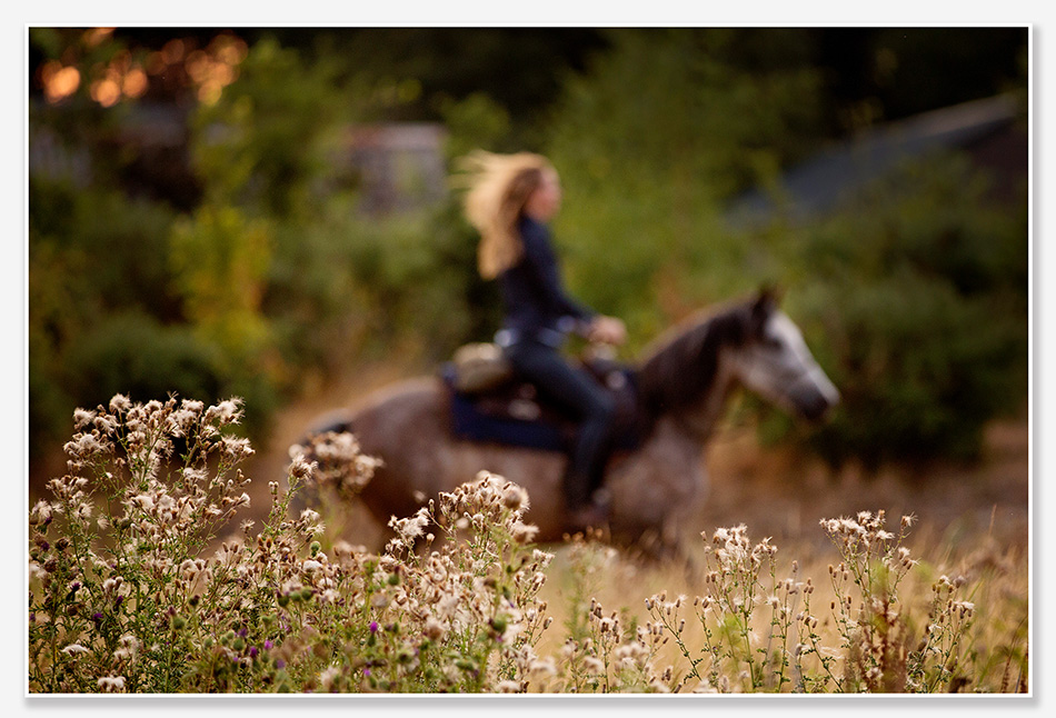 In galop door Den Bosch