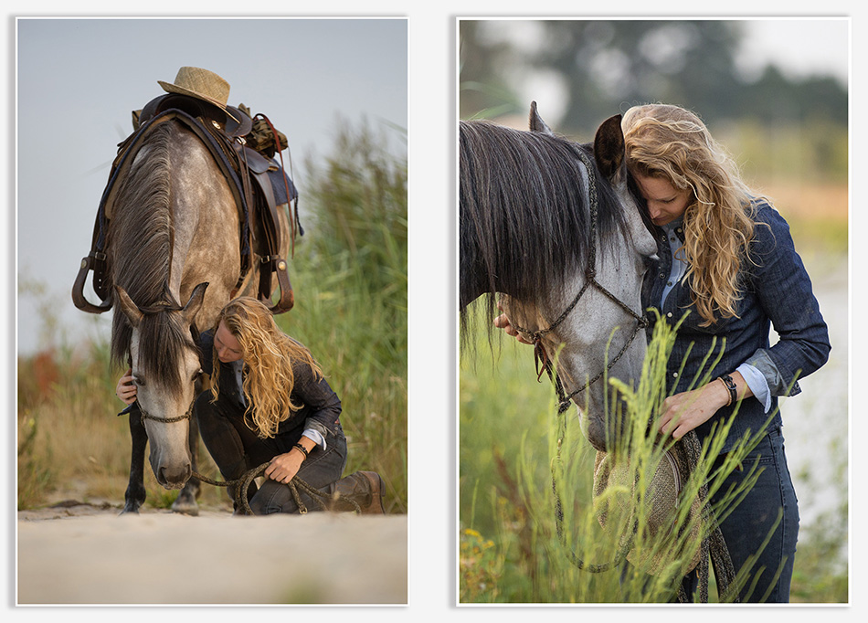 Paardenfotografie met schimmel